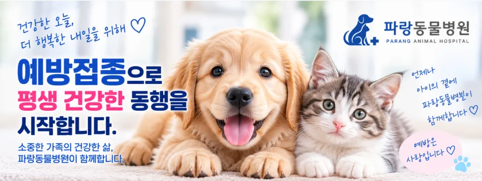 강아지·고양이 예방접종 정리|몇 차까지? 산책·목욕·항체가검사·심장사상충까지