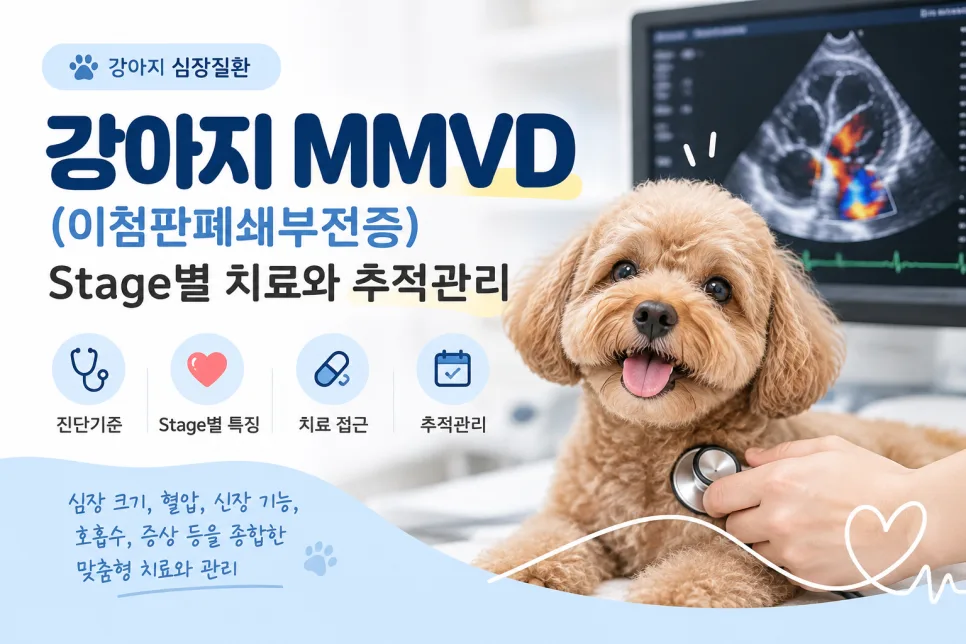 강아지 MMVD (이첨판폐쇄부전증) : Stage별 치료와 추적관리