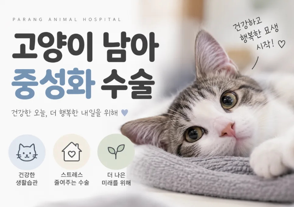 고양이 남아 중성화 수술 케이스