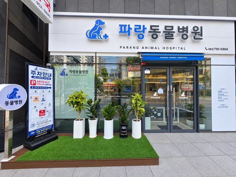 파랑동물병원 입구 — 파란 간판과 주차 안내 배너