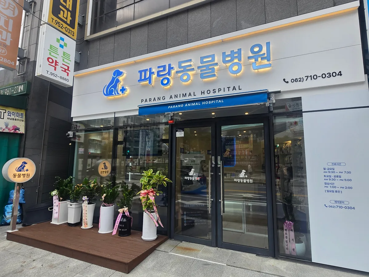 병원 입구
