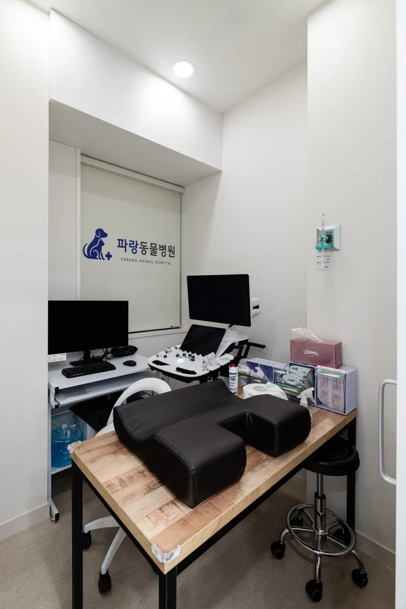 초음파실